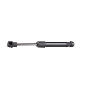 Tailgate Strut - RIDEX 219G0293