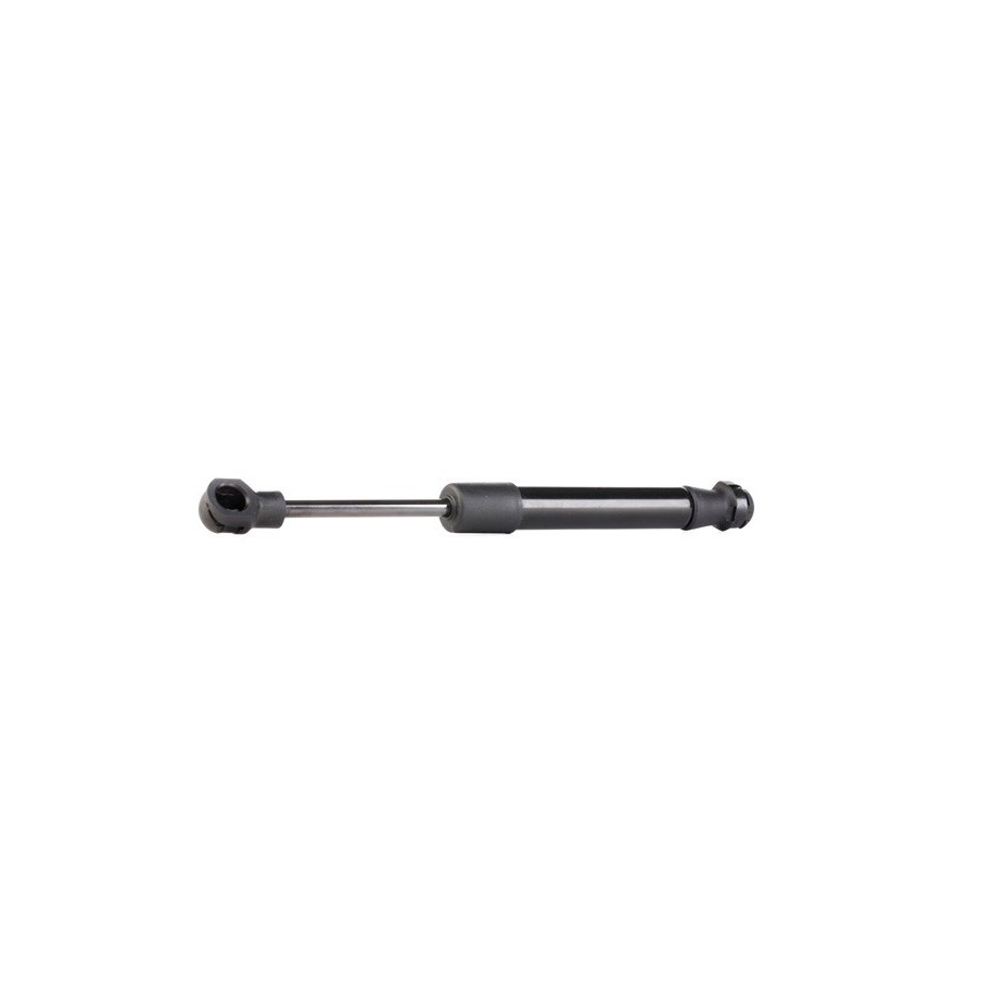 Tailgate Strut - RIDEX 219G0293