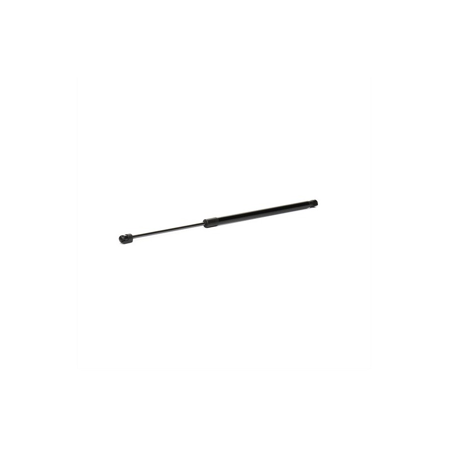 Tailgate Strut - RIDEX 219G0282