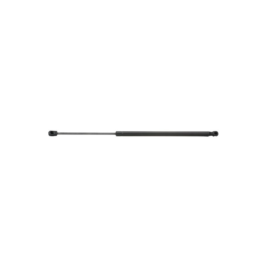 Tailgate Strut - RIDEX 219G0236