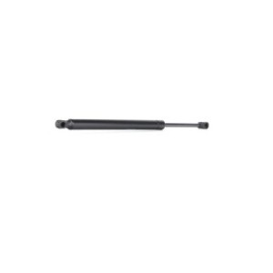 Tailgate Strut - RIDEX 219G0237