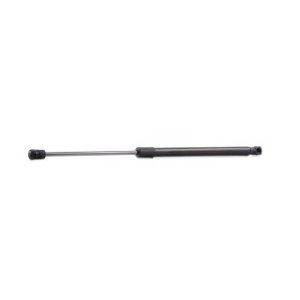 Tailgate Strut - RIDEX 219G0279