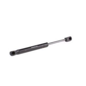 Tailgate Strut - RIDEX 219G0260