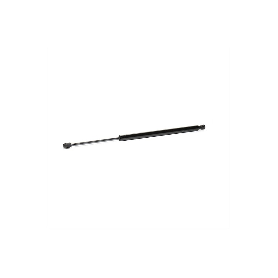 Tailgate Strut - RIDEX 219G0244