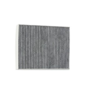 Cabin Air Filter - RIDEX 424I0244