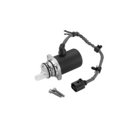 Rear Multi-plate Clutch Pump (AWD) BorgWarner DS118613 for VW