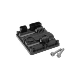 Rear All-wheel Drive Control Unit BorgWarner DS2018573 for VW