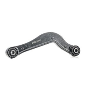 Control Trailing Arm - RIDEX 273C0598