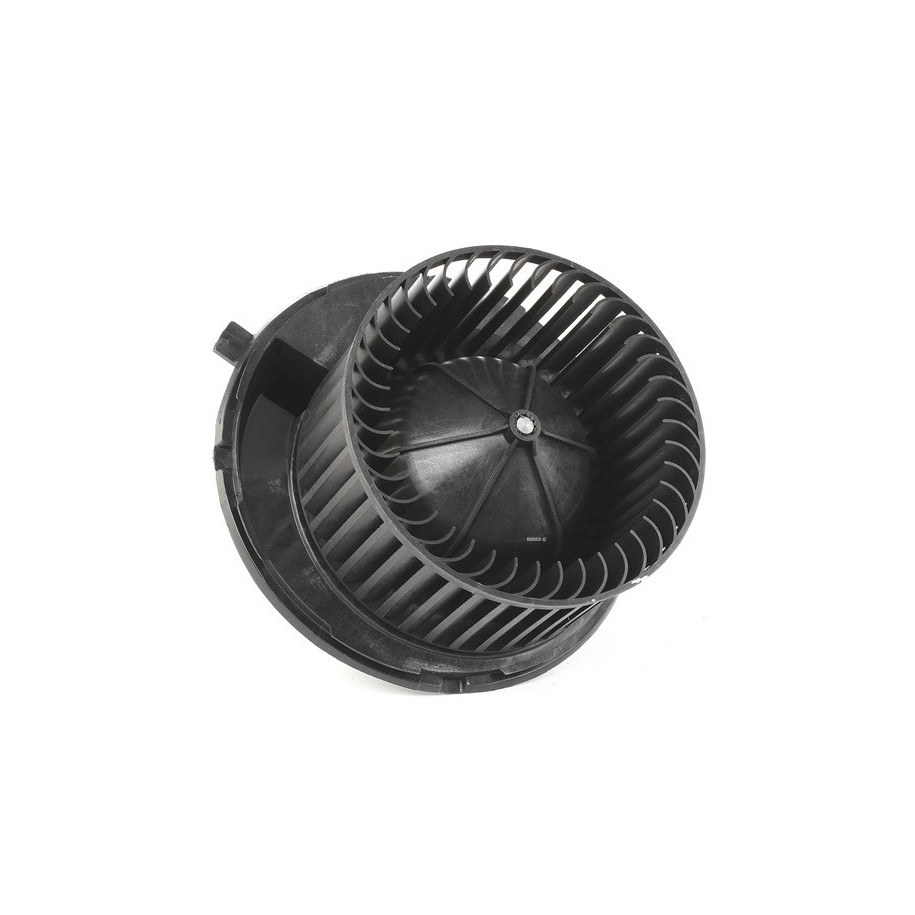 Heater Blower Motor - RIDEX 2669I0028