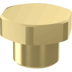 Screw Plug WABCO 8930220222