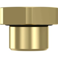 Screw Plug WABCO 8930220222