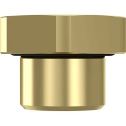 Screw Plug WABCO 8930220222