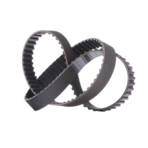 Timing Belt - RIDEX 306T0011