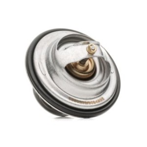 Coolant Thermostat - RIDEX 316T0008