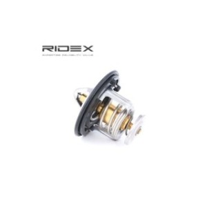 Coolant Thermostat - RIDEX 316T0018