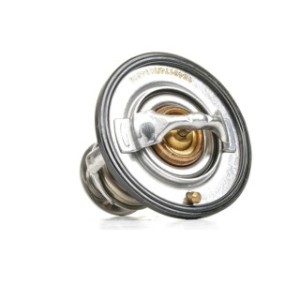 Coolant Thermostat - RIDEX 316T0046