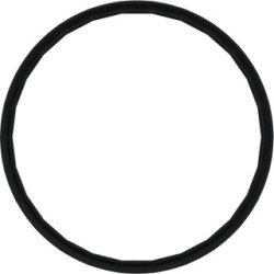 Timing Case Cover Gasket WABCO 8971615894