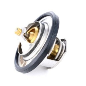 Coolant Thermostat - RIDEX 316T0026