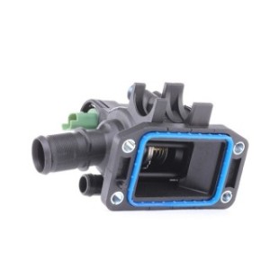 Coolant Thermostat - RIDEX 316T0057