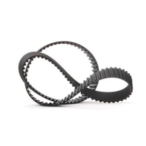 Timing Belt - RIDEX 306T0054