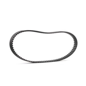 Timing Belt - RIDEX 306T0098