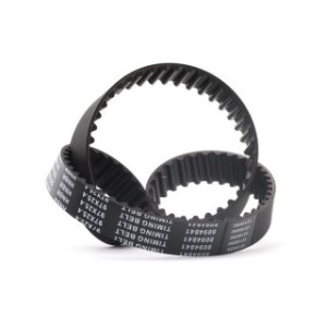 Timing Belt - RIDEX 306T0124