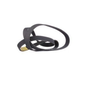 V Ribbed Belt - RIDEX 305P0087