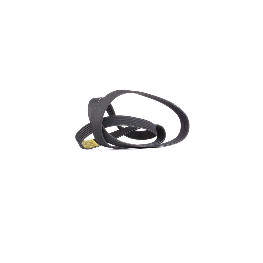 V Ribbed Belt - RIDEX 305P0087