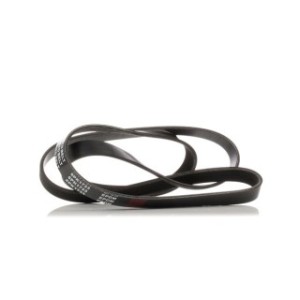 V Ribbed Belt - RIDEX 305P0121