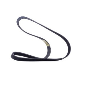V Ribbed Belt - RIDEX 305P0034