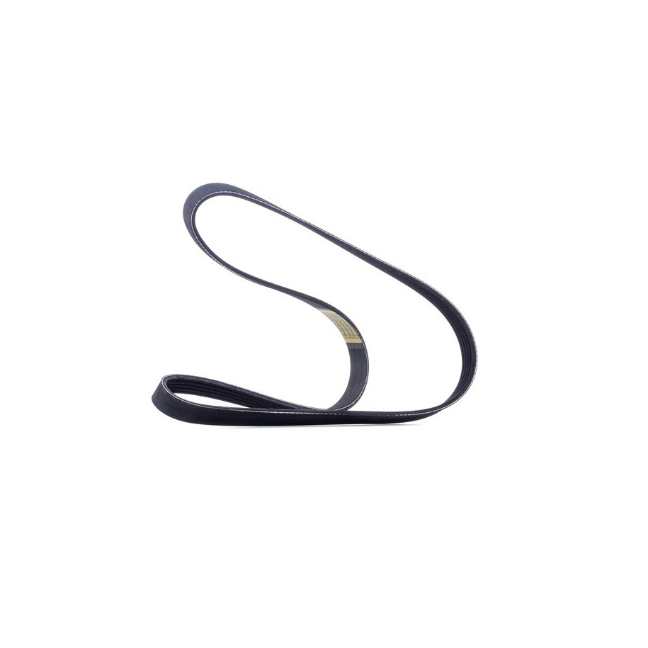 V Ribbed Belt - RIDEX 305P0034