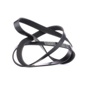 V Ribbed Belt - RIDEX 305P0084