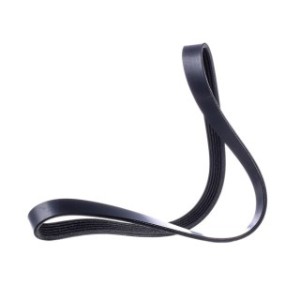 V Ribbed Belt - RIDEX 305P0165