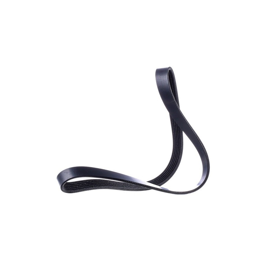 V Ribbed Belt - RIDEX 305P0165
