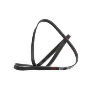 V Ribbed Belt - RIDEX 305P0041