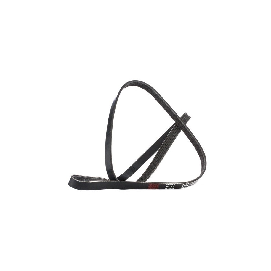V Ribbed Belt - RIDEX 305P0041