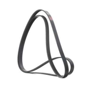 V Ribbed Belt - RIDEX 305P0100