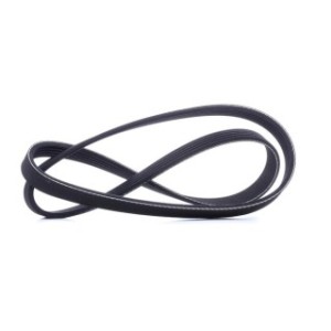 V Ribbed Belt - RIDEX 305P0032