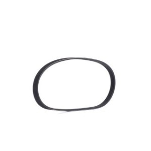 V Ribbed Belt - RIDEX 305P0009