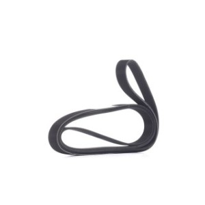 V Ribbed Belt - RIDEX 305P0108