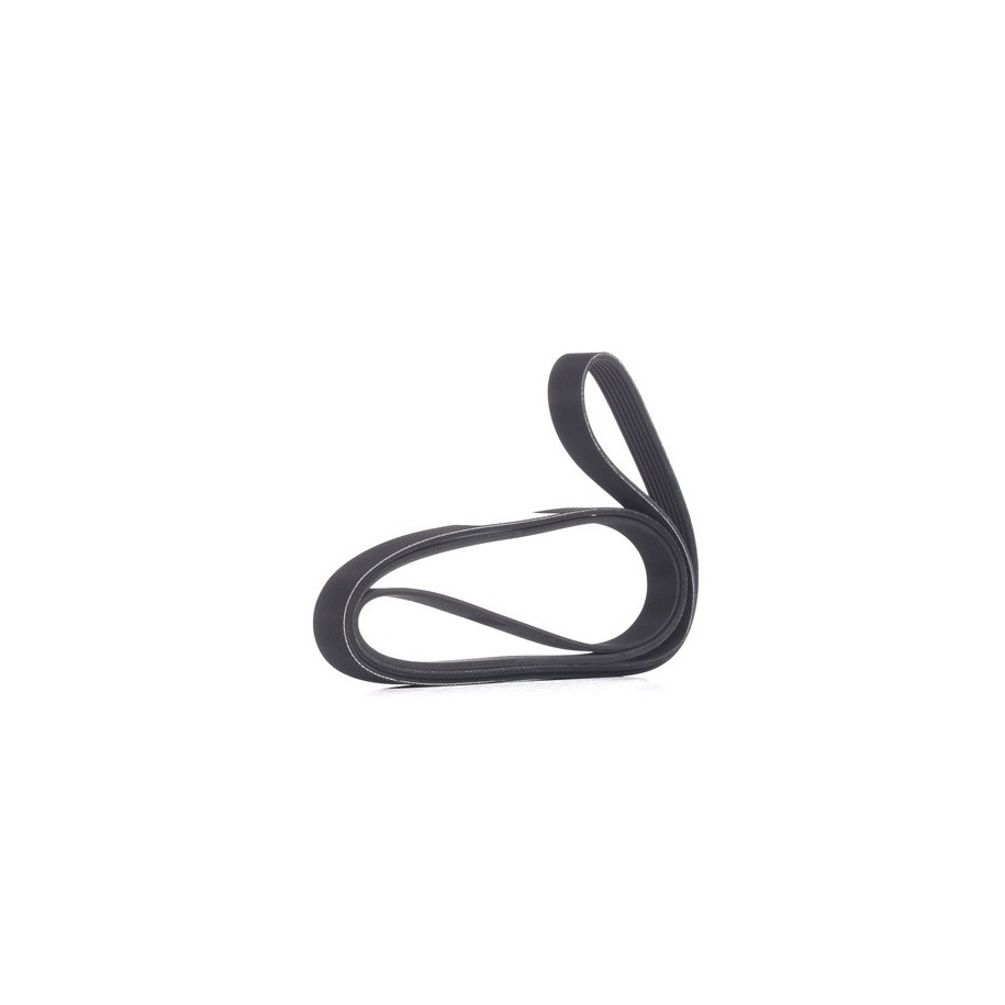 V Ribbed Belt - RIDEX 305P0108