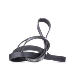 V Ribbed Belt - RIDEX 305P0145
