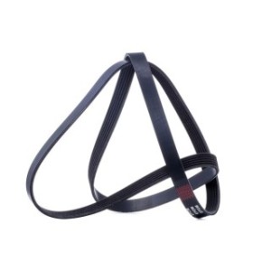 V Ribbed Belt - RIDEX 305P0080