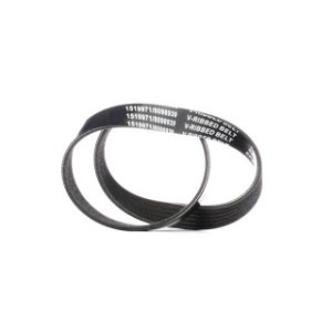 V Ribbed Belt - RIDEX 305P0192