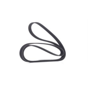 V Ribbed Belt - RIDEX 305P0308
