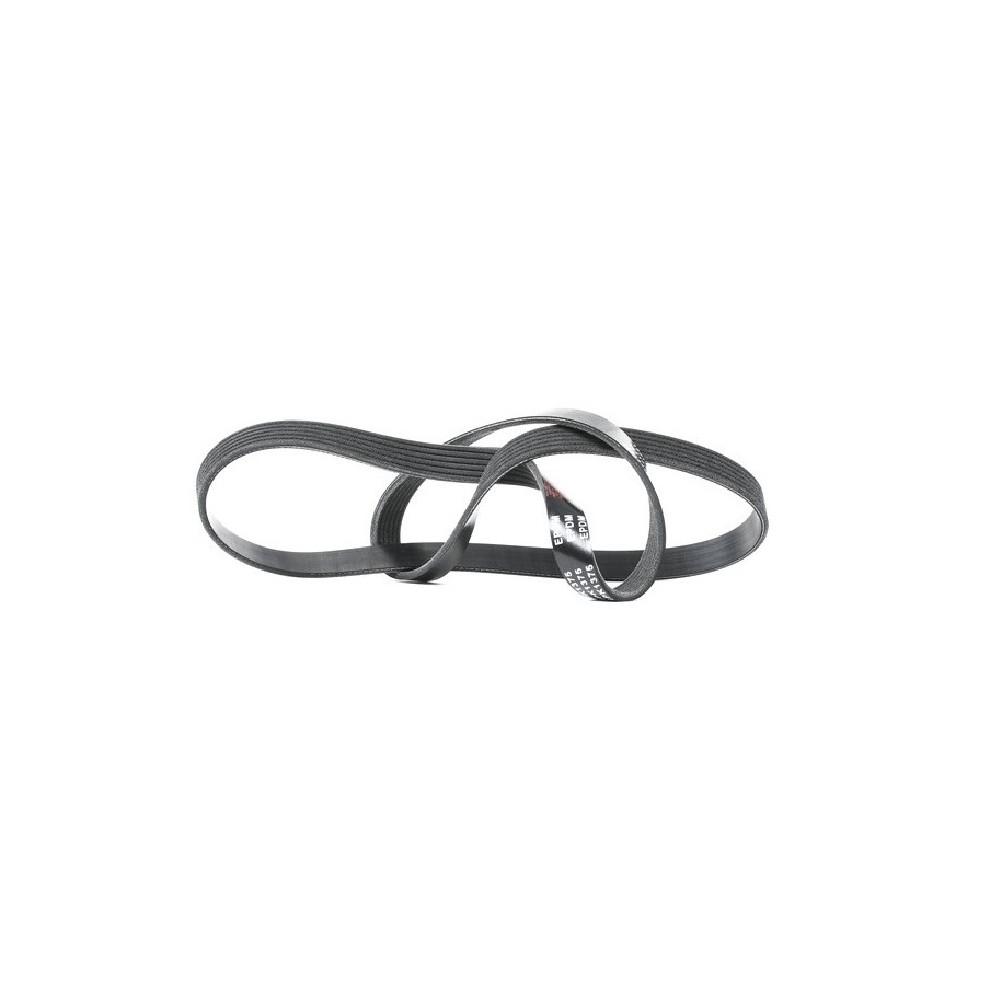 V Ribbed Belt - RIDEX 305P0224
