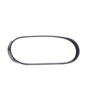 V Ribbed Belt - RIDEX 305P0117