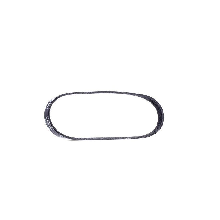 V Ribbed Belt - RIDEX 305P0117