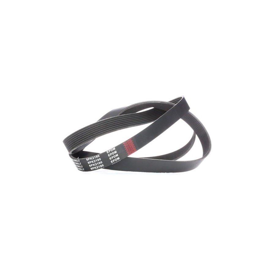 V Ribbed Belt - RIDEX 305P0319