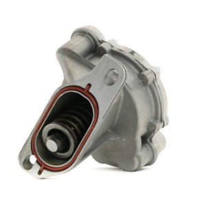 Brake Vacuum Pump - RIDEX 387V0021